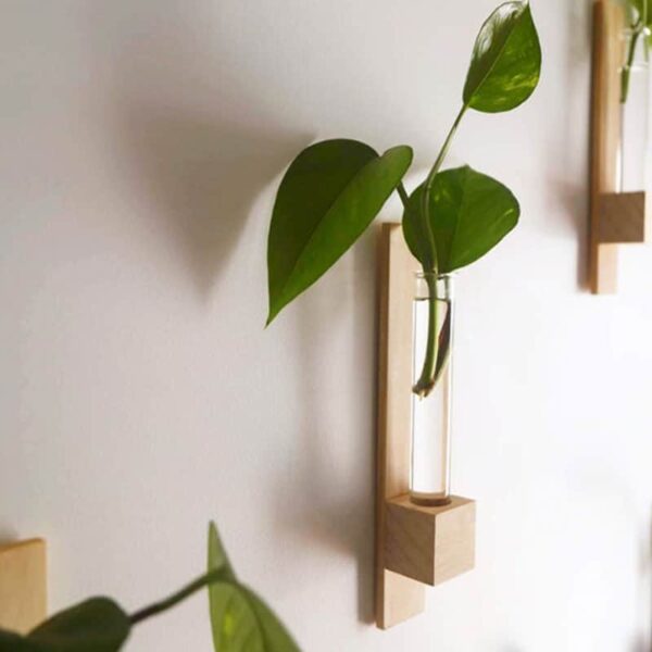 plant holder